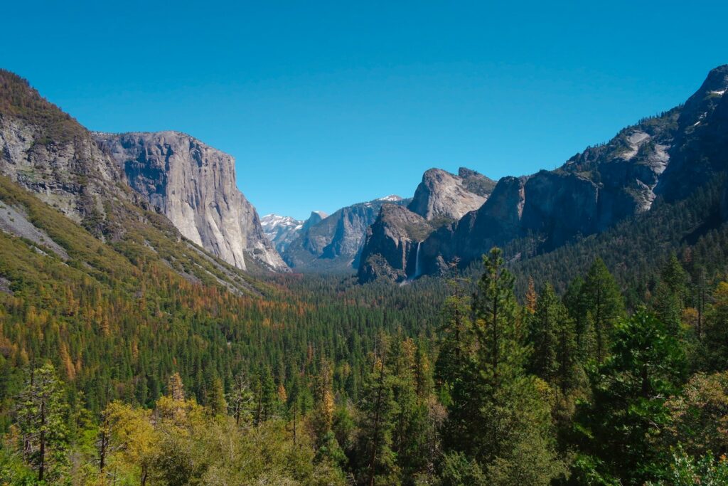 green trees near mountain under blue sky during daytime