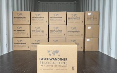 Kartonagen für Delogierung und Zwangsräumung