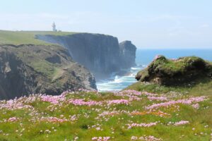 Umzug nach Irland oder umgekehrt: stressfrei & sorglos seit mehr als 25 Jahren umziehen mit Umzugsprofis 3 green grass covered mountain beside body of water during daytime